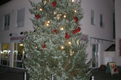 Weihnacht & Glühweinstand 2007