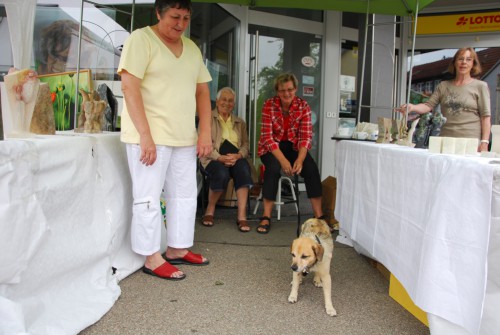 Verkaufsoffener Sonntag 2008