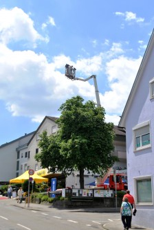 Verkaufsoffener Sonntag in Birkach 2015