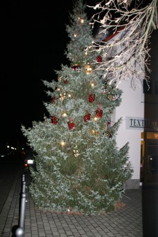 Weihnacht & Glühweinstand 2007