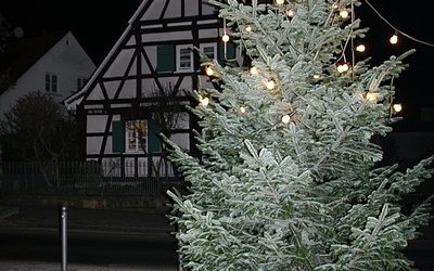 Unser Weihnachtsbaum