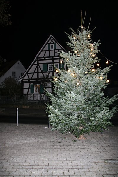 Unser Weihnachtsbaum