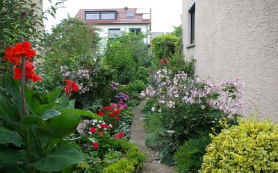 Der schönste Garten