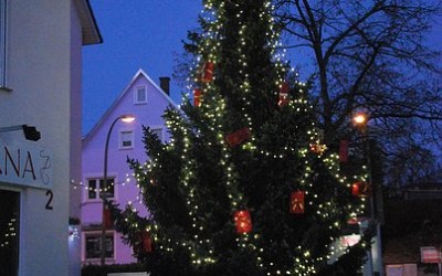 Der schönste Weihnachtsbaum stand in Birkach